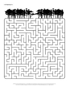 1013 In the Beginning Maze AR