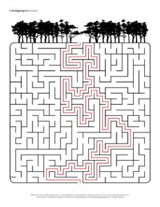 1013 In the Beginning Maze Solution AR