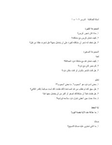 1061 A Giant Adventure Discussion Questions AR