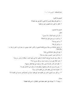 1081 The First Christmas Discussion Questions AR